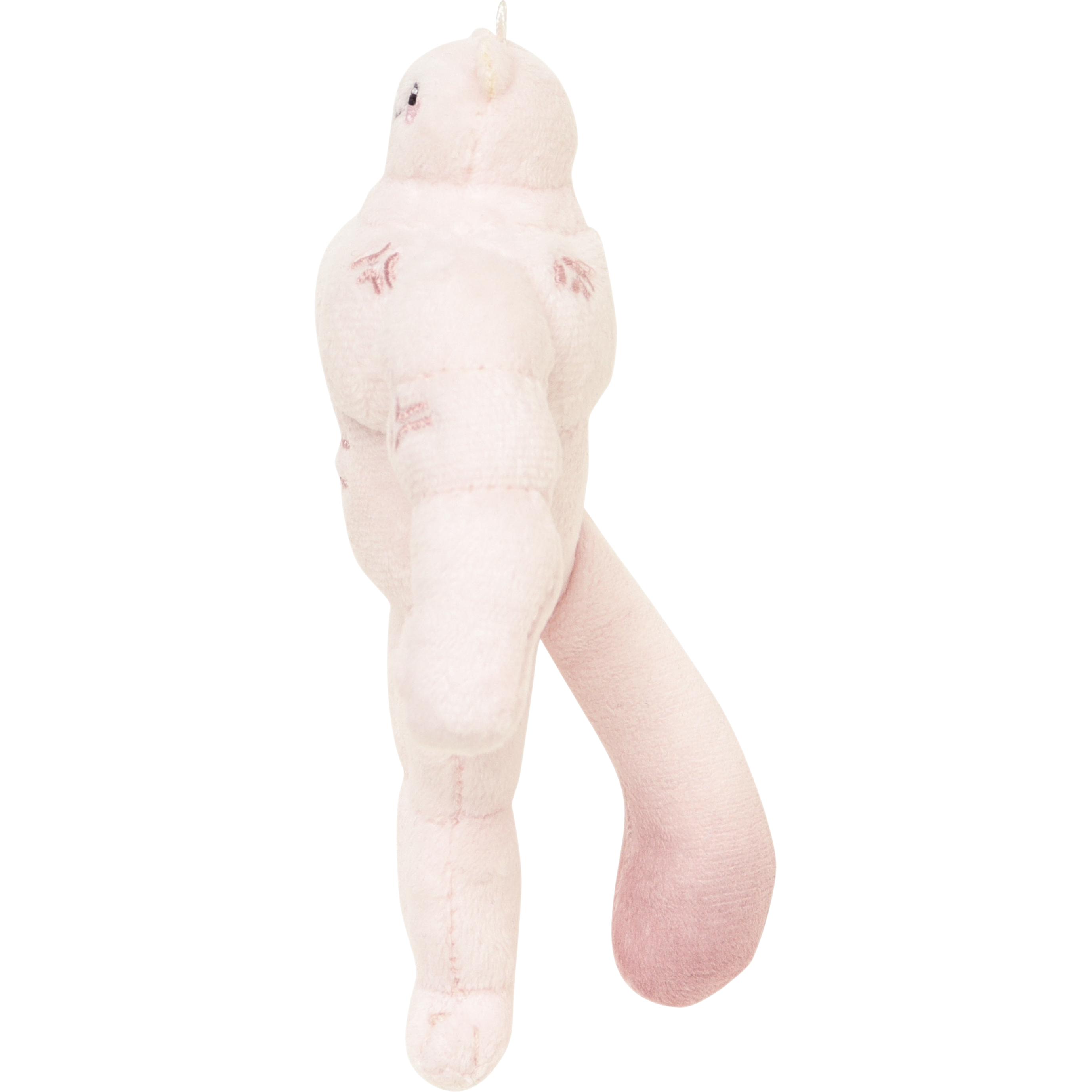 4550621315602-1 (1).png